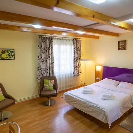 Casa Mihai Gæstehus Braşov