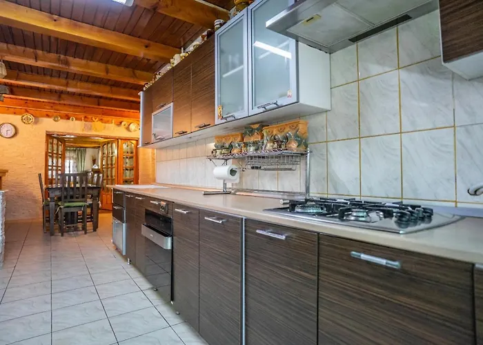 Casa Mihai Guest house *