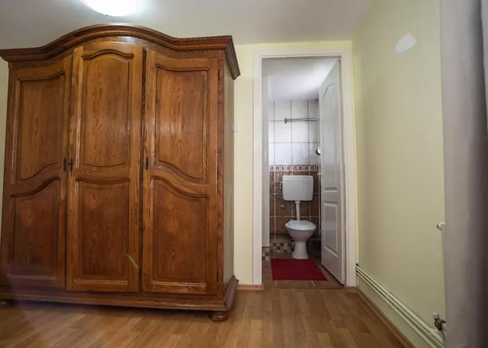 Casa Mihai Guest house *