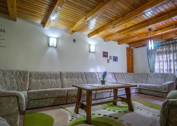 Casa Mihai Guest house *