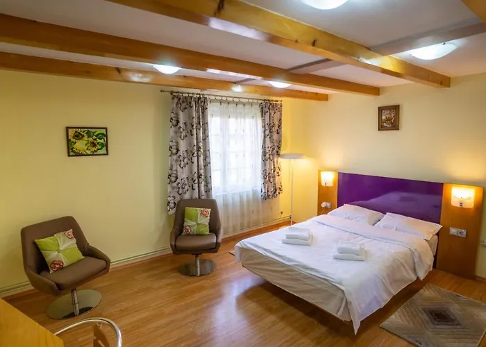 Casa Mihai Guest house Brasov